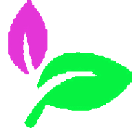 Mac萌新网